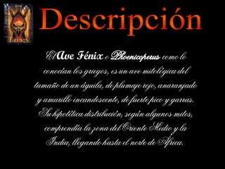 Descripción El  Ave Fénix  o  Phoenicoperus   como lo conocían los griegos, es un ave mitológica del tamaño de un águila, de plumaje rojo, anaranjado y amarillo incandescente, de fuerte pico y garras. Su hipotética distribución, según algunos mitos, comprendía la zona del Oriente Medio y la India, llegando hasta el norte de África.  