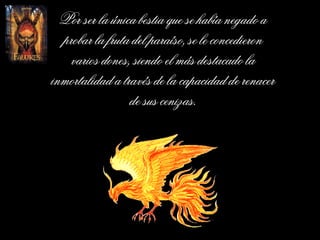 Por ser la única bestia que se había negado a probar la fruta del paraíso, se le concedieron varios dones, siendo el más destacado la inmortalidad a través de la capacidad de renacer de sus cenizas. 