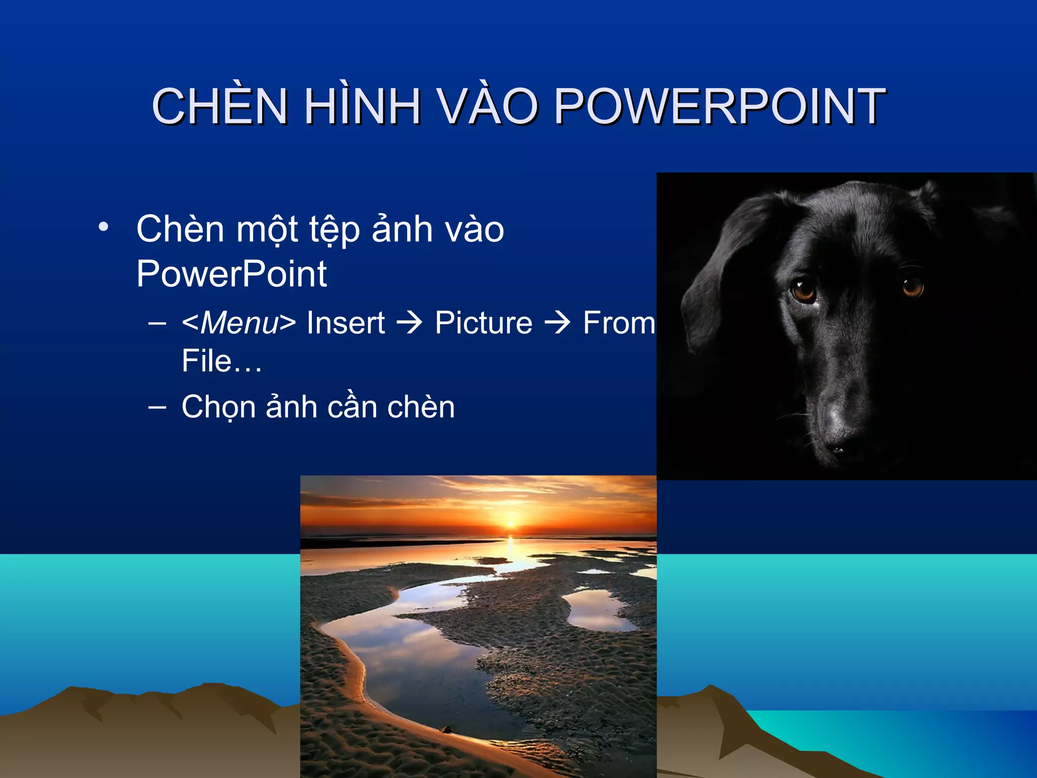 CHÈN HÌNH VÀO POWERPOINT
• Chèn một tệp ảnh vào
PowerPoint
– <Menu> Insert  Picture  From
File…
– Chọn ảnh cần chèn

 