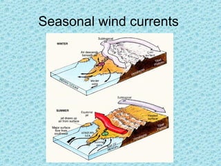 Seasonal wind currents
 