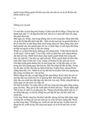 người trong những người rất hèn mọn nầy của anh em ta, ấy là đã làm cho
chính mình ta vậy."
**
Những con vịt nuôi
!
Có một đàn vịt trời đang bay hướng về phía nam để trú đông. Chúng bay tạo
thành một chữ "V" rất đẹp trên bầu trời, bất cứ ai ở dưới đất nhìn lên cũng
đều phải thích thú.
Một ngày nọ, Wally, một trong những chú vịt trời trong đàn, bỗng nhìn thấy
cái gì đó rất hấp dẫn dưới mặt đất... Một cái sân nuôi gà vịt quanh nhà kho, ở
đó có một đàn vịt nhà đang được nuôi trong nông trại. Bọn chúng chạy lạch
bạch quanh sân, kêu quàng quạc rất vui vẻ nhộn nhịp và mỗi ngày đều được
ăn bắp mà người ta thảy ra sân cho chúng.
Wally có vẻ thích thú trước những gì chú chứng kiến. "Chắc hẳn ăn bắp đó
sẽ rất tuyệt," chú tự nghĩ, "Còn ở đây, mình cứ phải bay suốt chặng đường
dài mệt mỏi này. Mình thích được chạy loanh quanh thảnh thơi trong sân
như vậy một lúc." Sau khi suy nghĩ một hồi, Wally quyết định rời khỏi đàn,
lượn một vòng về bên trái và lao xuống về hướng cái sân nuôi gà vịt nọ.
Chú đáp xuống giữa những chú vịt nhà trong sân, và bắt đầu chạy vớ vẩn
trong sân, kêu quàng quạc như bọn họ. Rồi chú cũng bắt đầu ăn bắp. Trong
lúc đó, đàn vịt trời vẫn tiếp tục hành trình bay về phía Nam, nhưng Wally
chẳng thèm để ý tới. "Mình sẽ trở lại đàn khi họ từ phía Nam bay ngang qua
đây trong vài tháng tới," chú tự bảo.
Nhiều tháng trôi qua và nghĩ rằng đã hết mùa Đông, Wally nhìn lên trời và
chờ đợi đàn của mình bay trở về phương Bắc. Khi chúng xuất hiện, Wally
thấy đàn của mình bay thật đẹp trên bầu trời. Lúc này, Wally cũng đã thật sự
chán ngán cái sân nuôi vịt ở đây rồi.
Nó thật là dơ bẩn! Và ở đây, bất cứ chỗ nào cũng chỉ toàn nghe tiếng quàng
quạc mà thôi. "Bây giờ là lúc mình phải rời khỏi chỗ này," Wally thầm nghĩ.
Thế là chú vỗ cánh và cố gắng bay lên. Nhưng chú đã tăng thêm mấy ký vì
ăn nhiều bắp quá, và chú lại chẳng bao giờ tập thể dục cho đôi cánh của
mình nữa.
Cuối cùng Wally cũng bay lên khỏi mặt đất, nhưng chú bay thật chậm chạp
và tông ầm vô hàng rào của sân nuôi gà vịt. Chú rớt bịch xuống đất! Wally
tự nhủ trong lòng, "Ồ không sao, mình chỉ cần đợi họ bay về phía Nam trú
đông lần tới, mình sẽ bay lên cùng mọi người và sẽ lại là một chú vịt trời
thôi."
 