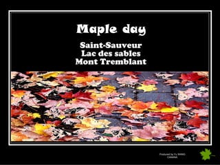 Maple day
 Saint-Sauveur
 Lac des sables
Mont Tremblant




                  Produced by Yu WANG
                        CANANA
 