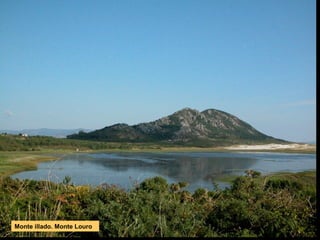 Monte illado. Monte Louro
 
