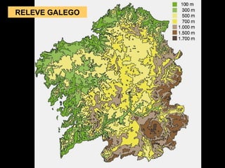 RELEVE GALEGO
 