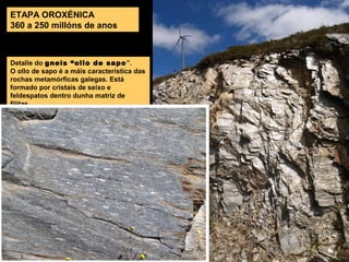 Detalle do gneis “ollo de sapo”.
O ollo de sapo é a máis característica das
rochas metamórficas galegas. Está
formado por cristais de seixo e
feldespatos dentro dunha matriz de
filitas.
ETAPA OROXÉNICA
360 a 250 millóns de anos
 