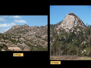 O Pindo
A Toxiza
 