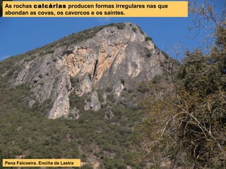 As rochas calcárias producen formas irregulares nas que
abondan as covas, os cavorcos e os saíntes.
Pena Falcoeira. Enciña da Lastra
 
