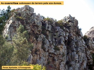 As cuarcitas sobresaen do terrero pola súa dureza.
Penas Apañadas. A Fonsagrada.
 