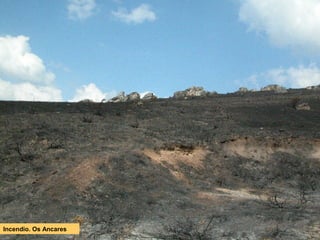 Incendio. Os Ancares
 