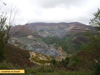 Louseiras no Courel
 