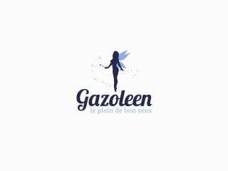 Présentation du fonctionnement du logiciel Gazoleen