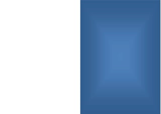 Notice caméra de recul - GPS GLOBE 800/S