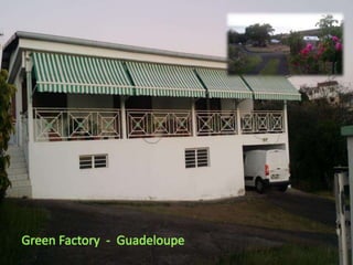 Green Factory - Guadeloupe
 