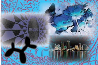 5 Montages 2014 Digital Illustration