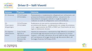 Driver D – Valli Viventi
 