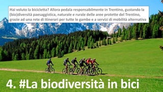 4. #La biodiversità in bici
Hai voluto la bicicletta? Allora pedala responsabilmente in Trentino, gustando la
(bio)diversi...