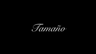 Tamaño
 