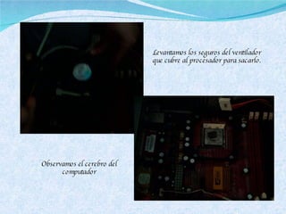 Levantamos los seguros del ventilador que cubre al procesador para sacarlo. Observamos el cerebro del computador 