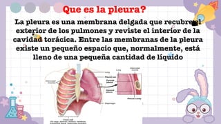 La pleura es una membrana delgada que recubre el
exterior de los pulmones y reviste el interior de la
cavidad torácica. Entre las membranas de la pleura
existe un pequeño espacio que, normalmente, está
lleno de una pequeña cantidad de líquido
Que es la pleura?
 