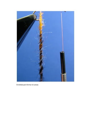 Enrollada para formar el cuerpo
 