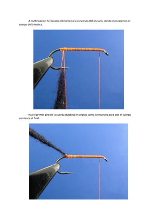 A continuación he llevado el hilo hasta la curvatura del anzuelo, donde montaremos el
cuerpo de la mosca.
Haz el primer giro de la cuerda dubbing en ángulo como se muestra para que el cuerpo
comience al final.
 