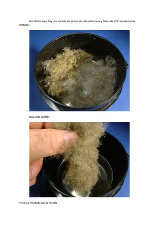 Por último aquí hay una mezcla de pelusa de rata almizclera y fibras de CDC escasamente
cortadas
Tras unas vueltas
Y mosca montada con la mezcla
 