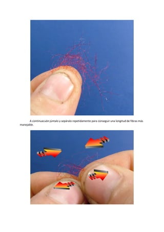 A continuacuón júntalo y sepáralo repetidamente para conseguir una longitud de fibras más
manejable.
 