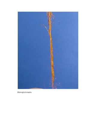 Ahora gira la espira.
 