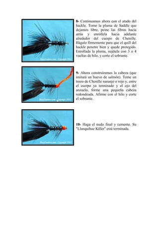 8- Continuamos ahora con el atado del
hackle. Tome la pluma de Saddle que
dejamos libre, peine las fibras hacia
atrás y enróllela hacia adelante
alrededor del cuerpo de Chenille.
Hágalo firmemente para que el quill del
hackle penetre bien y quede protegido.
Enrollada la pluma, sujétela con 3 o 4
vueltas de hilo, y corte el sobrante.



9- Ahora construiremos la cabeza (que
imitará un huevo de salmón). Tome un
trozo de Chenille naranjo o rojo y, entre
el cuerpo ya terminado y el ojo del
anzuelo, forme una pequeña cabeza
redondeada. Afirme con el hilo y corte
el sobrante.




10- Haga el nudo final y cemente. Su
"Llanquihue Killer" está terminada.
 