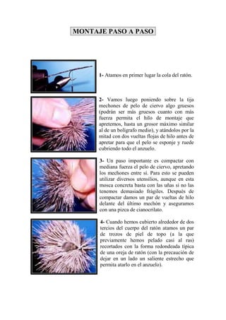 MONTAJE PASO A PASO




      1- Atamos en primer lugar la cola del ratón.



      2- Vamos luego poniendo sobre la tija
      mechones de pelo de ciervo algo gruesos
      (podrán ser más gruesos cuanto con más
      fuerza permita el hilo de montaje que
      apretemos, hasta un grosor máximo similar
      al de un bolígrafo medio), y atándolos por la
      mitad con dos vueltas flojas de hilo antes de
      apretar para que el pelo se esponje y ruede
      cubriendo todo el anzuelo.

      3- Un paso importante es compactar con
      mediana fuerza el pelo de ciervo, apretando
      los mechones entre sí. Para esto se pueden
      utilizar diversos utensilios, aunque en esta
      mosca concreta basta con las uñas si no las
      tenemos demasiado frágiles. Después de
      compactar damos un par de vueltas de hilo
      delante del último mechón y aseguramos
      con una pizca de cianocrilato.

      4- Cuando hemos cubierto alrededor de dos
      tercios del cuerpo del ratón atamos un par
      de trozos de piel de topo (a la que
      previamente hemos pelado casi al ras)
      recortados con la forma redondeada típica
      de una oreja de ratón (con la precaución de
      dejar en un lado un saliente estrecho que
      permita atarlo en el anzuelo).
 