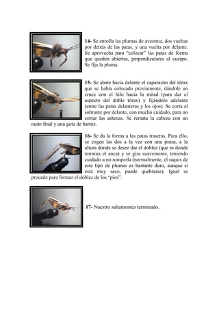 14- Se enrolla las plumas de avestruz, dos vueltas
                          por detrás de las patas, y una vuelta por delante.
                          Se aprovecha para “colocar” las patas de forma
                          que queden abiertas, perpendiculares al cuerpo.
                          Se fija la pluma.


                          15- Se abate hacia delante el caparazón del tórax
                          que se había colocado previamente, dándole un
                          cruce con el hilo hacia la mitad (para dar el
                          aspecto del doble tórax) y fijándolo adelante
                          (entre las patas delanteras y los ojos). Se corta el
                          sobrante por delante, con mucho cuidado, para no
                          cortar las antenas. Se remata la cabeza con un
nudo final y una gota de barniz.

                         16- Se da la forma a las patas traseras. Para ello,
                         se cogen las dos a la vez con una pinza, a la
                         altura donde se desee dar el doblez (que es donde
                         termina el anca) y se gira suavemente, teniendo
                         cuidado a no romperla (normalmente, el raquis de
                         este tipo de plumas es bastante duro, aunque si
                         está muy seco, puede quebrarse). Igual se
procede para formar el doblez de los “pies”.




                           17- Nuestro saltamontes terminado.
 