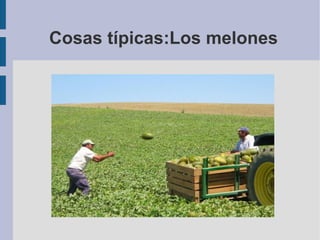 Cosas típicas:Los melones