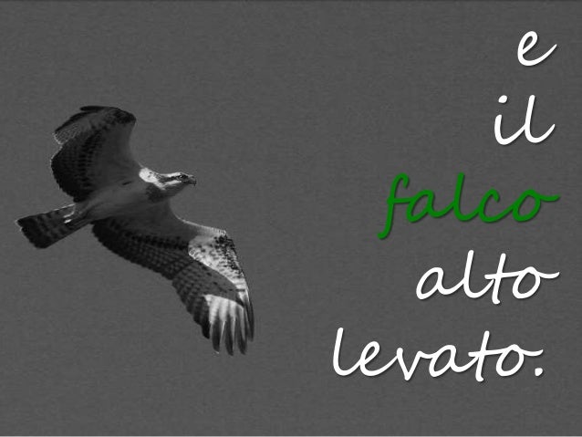 Montale Spesso il male di vivere ho incontrato