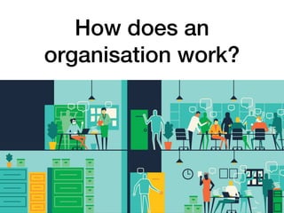 How does an
organisation work?
 
