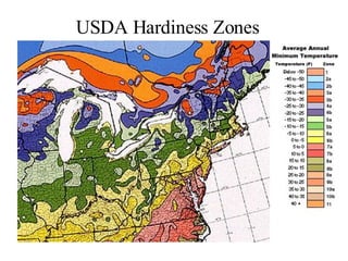 USDA Hardiness Zones 