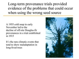 Long-term provenance trials provided evidence of the problems that could occur when using the wrong seed source A 1955 cold snap in early November led to the decline of off-site Douglas-fir provenances in a trial established in 1915  It’s the rare climatic events that tend to show maladaptation in long-lived trees 