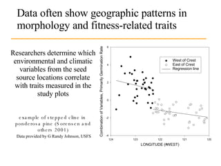Researchers determine which environmental and climatic variables from the seed source locations correlate with traits measured in the study plots example of stepped cline in  ponderosa pine (Sorensen and others  2001 )   Data provided by G Randy Johnson, USFS Data often show geographic patterns in morphology and fitness-related traits 