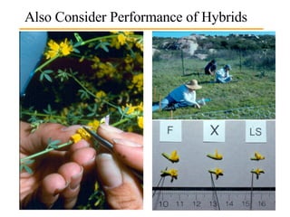 Also Consider Performance of Hybrids 