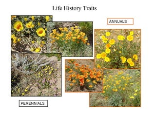 Life History Traits 
