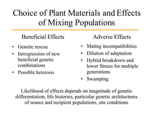 Choice of Plant Materials and Effects of Mixing Populations Beneficial Effects Genetic rescue Introgression of new beneficial genetic combinations Possible heterosis Adverse Effects Mating incompatibilities Dilution of adaptation Hybrid breakdown and lower fitness for multiple generations Swamping Likelihood of effects depends on magnitude of genetic differentiation, life histories, particular genetic architectures of source and recipient populations, site conditions 