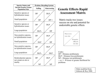 Genetic Effects Rapid Assessment Matrix Codes: DP = Distance problematic  DLP = Distance less problematic NP = Distance not problematic -- or ++    lesser or greater likelihood for problems Matrix tracks two issues:  success on site and potential for undesirable genetic effects Slide modified from  Johnson & Roy 2006 