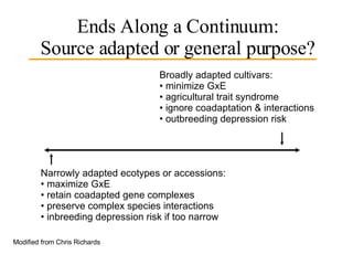 Ends Along a Continuum: Source adapted or general purpose? Narrowly adapted ecotypes or accessions: maximize GxE retain coadapted gene complexes preserve complex species interactions  inbreeding depression risk if too narrow Broadly adapted cultivars: minimize GxE agricultural trait syndrome  ignore coadaptation & interactions outbreeding depression risk Modified from Chris Richards 