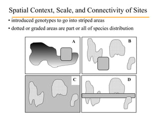 Spatial Context, Scale, and Connectivity of Sites  introduced genotypes to go into striped areas dotted or graded areas are part or all of species distribution A B D C 