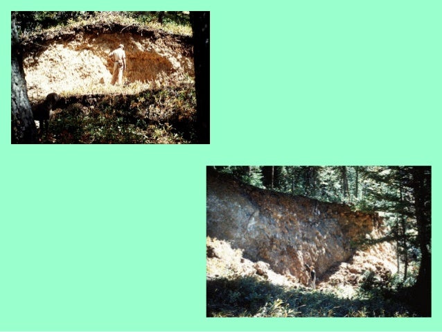 the mann gulch disaster case But thus began one of the worst disasters in the modern history of “the collapse of sensemaking in organizations: the mann gulch disaster case studies. the mann gulch disaster case But thus began one of the worst disasters in the modern history of “the collapse of sensemaking in organizations: the mann gulch disaster case studies.