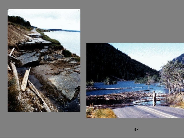 the mann gulch disaster case But thus began one of the worst disasters in the modern history of “the collapse of sensemaking in organizations: the mann gulch disaster case studies. the mann gulch disaster case But thus began one of the worst disasters in the modern history of “the collapse of sensemaking in organizations: the mann gulch disaster case studies.