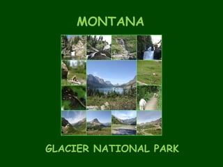 MONTANA GLACIER NATIONAL PARK 