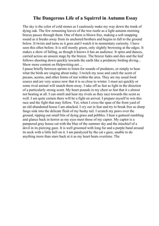 The Dangerous Life of a Squirrel in Autumn Essay
The sky is the color of cold stones as I cautiously make my way down the trunk of
dying oak. The few remaining leaves of the tree rustle as a light autumn morning
breeze passes through them. One of them is blown free, making a soft snapping
sound as it breaks away from its anchored brothers and begins to fall to the ground
below. It twists and turns as it goes and I watch it in momentary curiosity. I have
seen this often before. It is still mostly green, only slightly browning at the edges. It
makes a show of falling, as though it knows it has an audience. It spins and dances,
carried across an unseen stage by the breeze. The breeze fades and dies and the leaf
follows shooting down quickly towards the earth like a predatory birding diving...
Show more content on Helpwriting.net ...
I pause briefly between sprints to listen for sounds of predators, or simply to hear
what the birds are singing about today. I twitch my nose and catch the scent of
pecans, acorns, and other forms of nut within the area. They are my usual food
source and are very scarce now that it is so close to winter. I must act quickly or
some rival animal will snatch them away. I take off as fast as light in the direction
of a particularly strong scent. My heart pounds in my chest so fast that it s almost
not beating at all. I can smell and hear my rivals as they race towards the scent as
well. I am quite certain there will be a fight on arrival. I prepare myself to win this
race and the fight that may follow. Yet, when I cross the span of the front yard of
an old abandoned house I am attacked. I cry out in fear and try to break free as sharp
fangs sink into the delicate flesh of my bushy tail. I scratch my paws over the
ground, ripping out small bits of dying grass and pebbles. I hear a guttural rumbling
and glance back in horror as my eyes meet those of my captor. My captor is a
pampered gray house cat with the blue of the summer sky and the mischief of a
devil in its piercing gaze. It is well groomed with long fur and a purple band around
its neck with a little bell on it. I am paralyzed by the cat s gaze, unable to do
anything more than stare back at it as my heart beats overtime. The
 