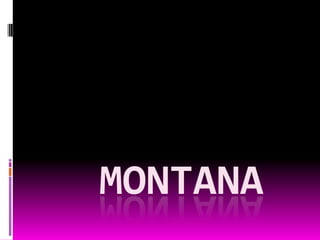 MONTANA

 