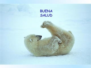 BUENA SALUD 
