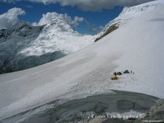 ¿Cómo han llegado alli? 